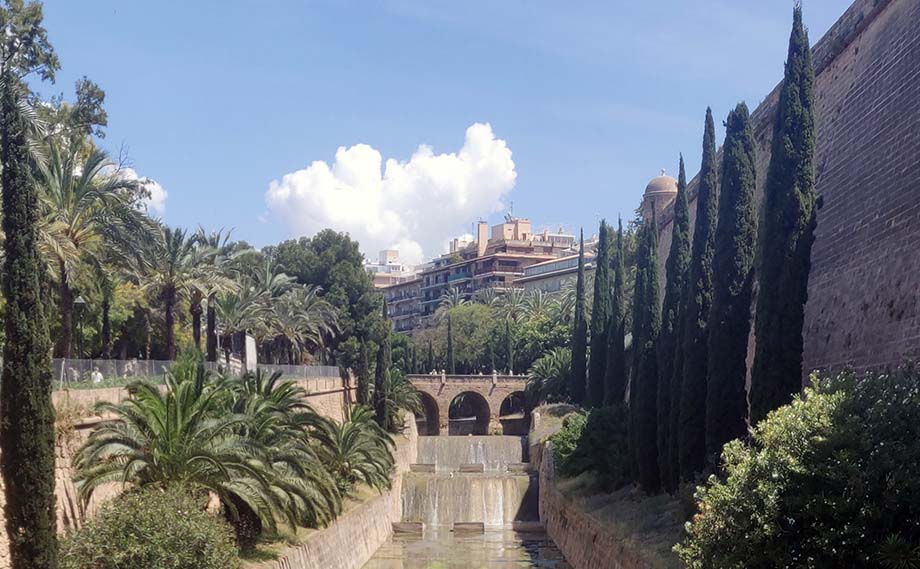 Palma