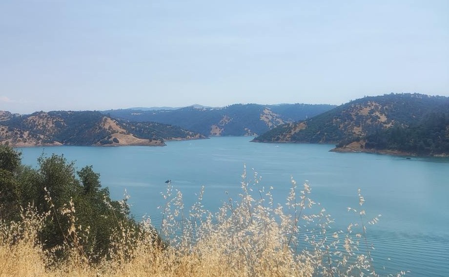 Melones